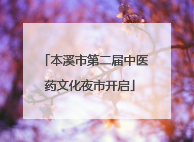 本溪市第二届中医药文化夜市开启