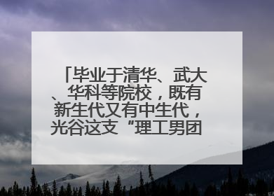 毕业于清华、武大、华科等院校，既有新生代又有中生代，光谷这支“理工男团”为何“出道”？