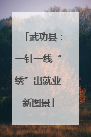 武功县：一针一线“绣”出就业新图景