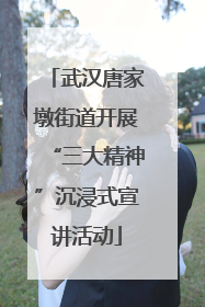 武汉唐家墩街道开展“三大精神”沉浸式宣讲活动