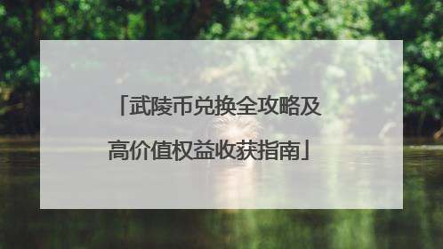 武陵币兑换全攻略及高价值权益收获指南