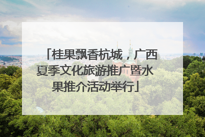 桂果飘香杭城，广西夏季文化旅游推广暨水果推介活动举行