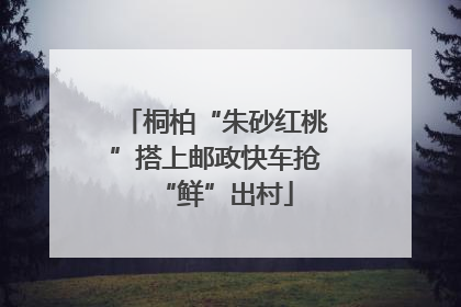 桐柏“朱砂红桃”搭上邮政快车抢“鲜”出村