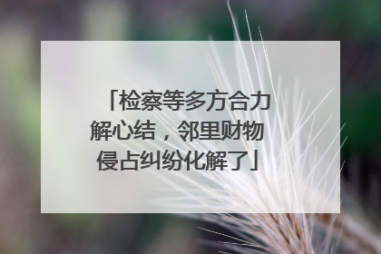 检察等多方合力解心结，邻里财物侵占纠纷化解了