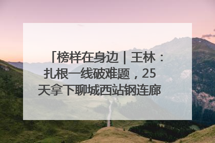 榜样在身边｜王林：扎根一线破难题，25天拿下聊城西站钢连廊“硬核”工程