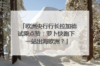 欧洲央行行长拉加德试乘点赞：萝卜快跑下一站出海欧洲？