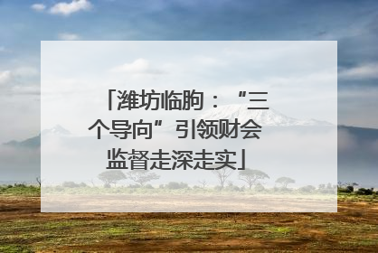 潍坊临朐：“三个导向”引领财会监督走深走实
