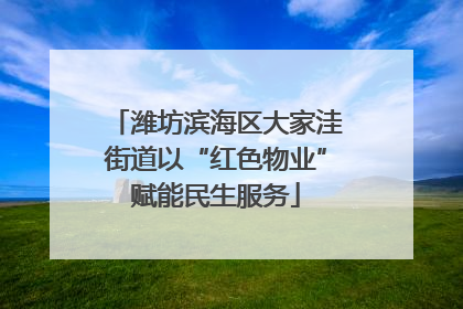 潍坊滨海区大家洼街道以“红色物业”赋能民生服务