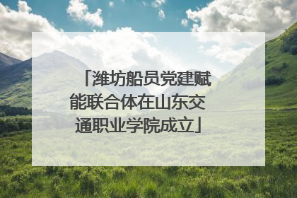 潍坊船员党建赋能联合体在山东交通职业学院成立