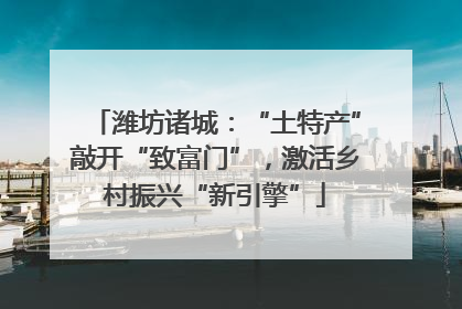潍坊诸城：“土特产”敲开“致富门”，激活乡村振兴“新引擎”