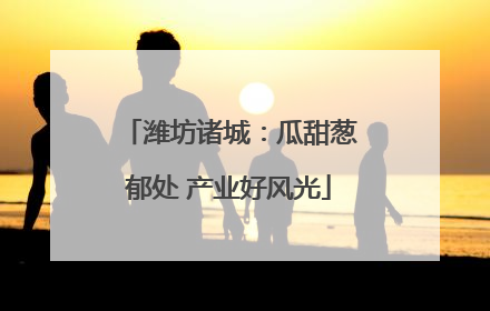 潍坊诸城：瓜甜葱郁处 产业好风光