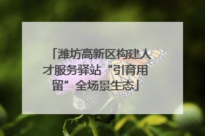 潍坊高新区构建人才服务驿站“引育用留”全场景生态