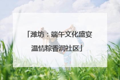 潍坊：端午文化盛宴 温情粽香润社区