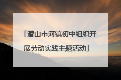 潜山市河镇初中组织开展劳动实践主题活动
