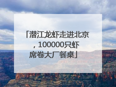 潜江龙虾走进北京，100000只虾席卷大厂餐桌