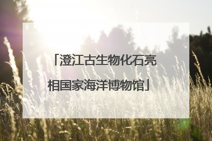 澄江古生物化石亮相国家海洋博物馆