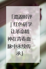 澧源时评｜红色研学 让革命精神在青春血脉中永续传承