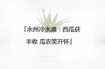 永州冷水滩：西瓜获丰收 瓜农笑开怀