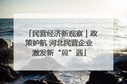 民营经济新观察｜政策护航 河北民营企业激发新“冀”遇