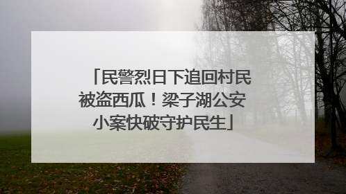 民警烈日下追回村民被盗西瓜！梁子湖公安小案快破守护民生