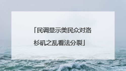 民调显示美民众对洛杉矶之乱看法分裂