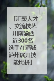 汇聚人才、交流技艺 川南渝西近300名选手在酒城泸州展开技能比拼