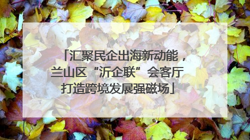汇聚民企出海新动能，兰山区“沂企联”会客厅打造跨境发展强磁场