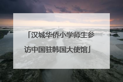 汉城华侨小学师生参访中国驻韩国大使馆