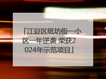 江夏区纸坊街一小区一年逆袭 荣获2024年示范项目