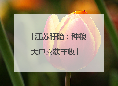 江苏盱眙：种粮大户喜获丰收
