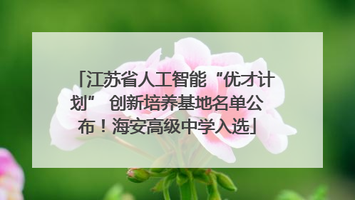 江苏省人工智能“优才计划” 创新培养基地名单公布！海安高级中学入选