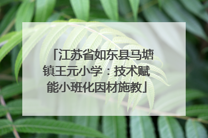 江苏省如东县马塘镇王元小学：技术赋能小班化因材施教