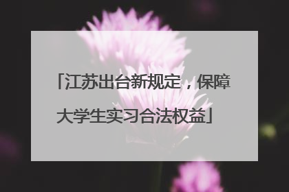 江苏出台新规定，保障大学生实习合法权益