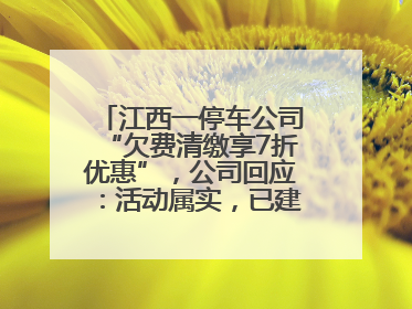 江西一停车公司“欠费清缴享7折优惠”，公司回应：活动属实，已建立常态化诉讼追缴机制