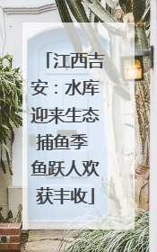 江西吉安：水库迎来生态捕鱼季 鱼跃人欢获丰收