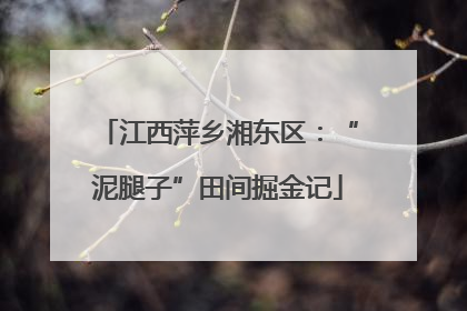 江西萍乡湘东区：“泥腿子”田间掘金记
