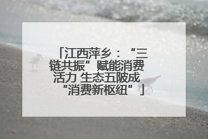 江西萍乡：“三链共振”赋能消费活力 生态五陂成“消费新枢纽”