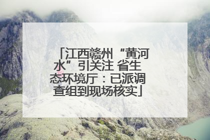 江西赣州“黄河水”引关注 省生态环境厅：已派调查组到现场核实