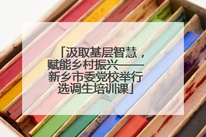 汲取基层智慧，赋能乡村振兴——新乡市委党校举行选调生培训课