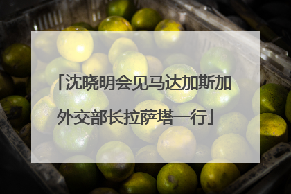 沈晓明会见马达加斯加外交部长拉萨塔一行