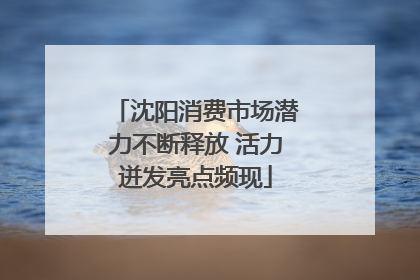 沈阳消费市场潜力不断释放 活力迸发亮点频现