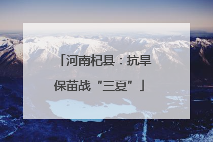 河南杞县：抗旱保苗战“三夏”