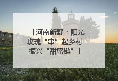 河南新野：阳光玫瑰“串”起乡村振兴“甜蜜链”