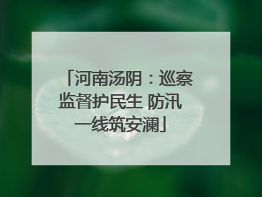 河南汤阴：巡察监督护民生 防汛一线筑安澜