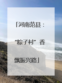 河南范县：“粽子村”香飘振兴路