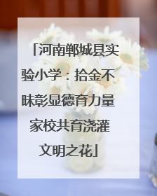 河南郸城县实验小学：拾金不昧彰显德育力量 家校共育浇灌文明之花