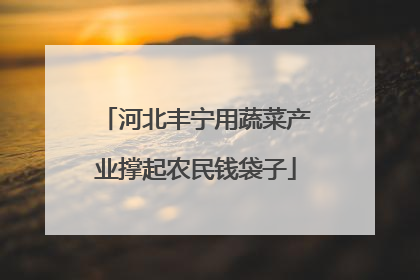 河北丰宁用蔬菜产业撑起农民钱袋子