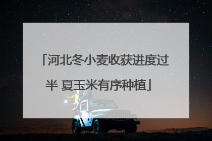 河北冬小麦收获进度过半 夏玉米有序种植