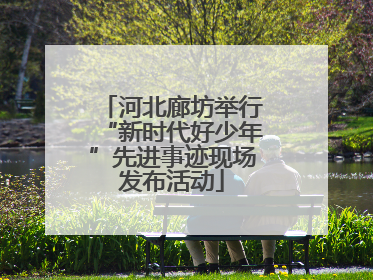 河北廊坊举行“新时代好少年”先进事迹现场发布活动