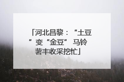 河北昌黎：“土豆”变“金豆” 马铃薯丰收采挖忙